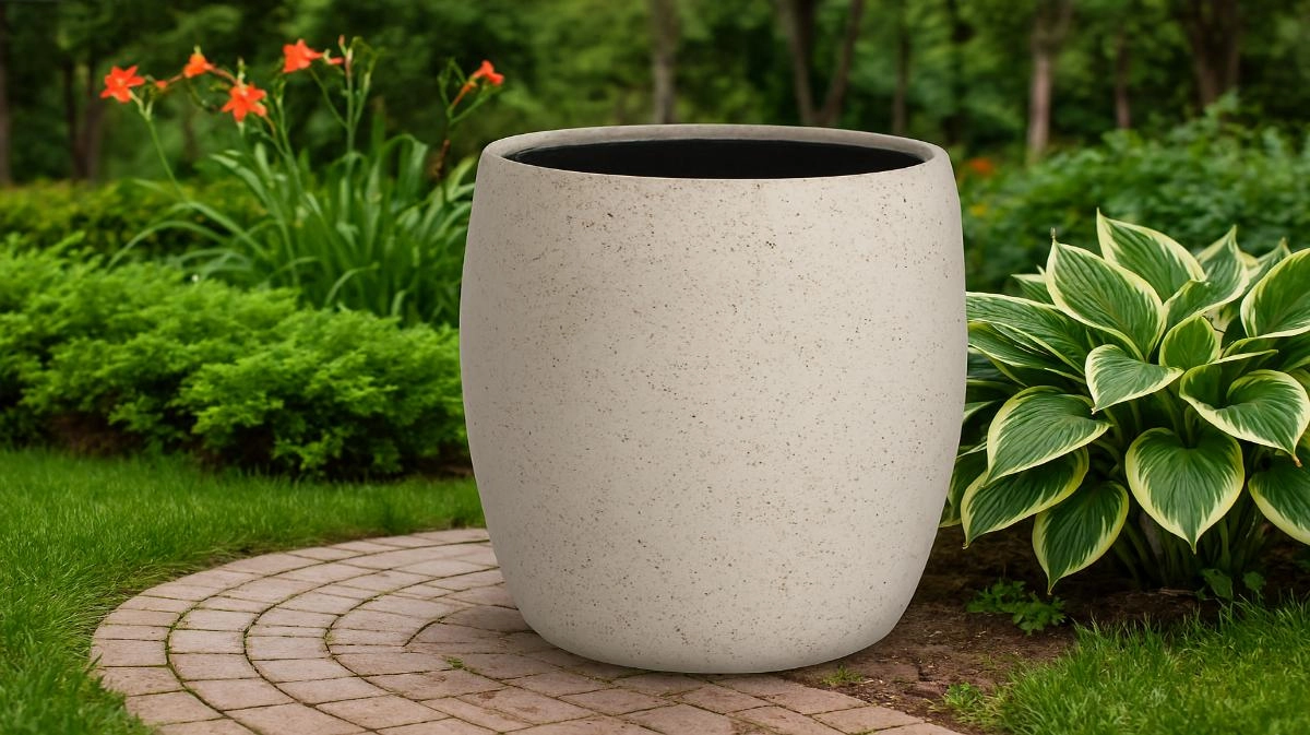 Фотография cтатьи